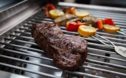 Grillfürst G201E Parrilla Portátil De Gas De 2 Quemadores -Restaurante De Barbacoa 385660 2824885