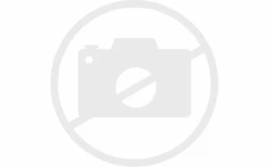 Juego De Pinchos Para La Parrilla Fennek 2.0